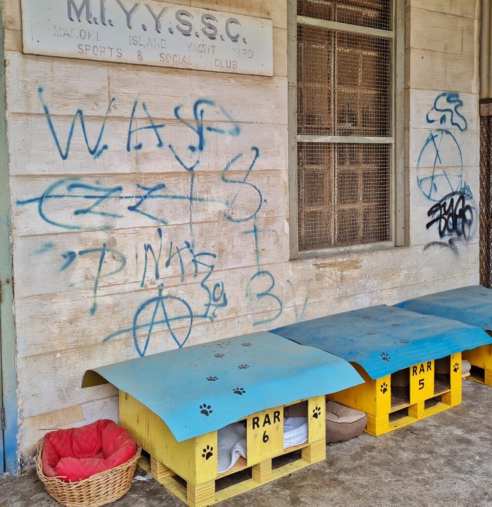 Vor einer Holzwand mit einem vergitterten Fenster und Graffitii links ein Körbchen mit einem roten Kissen. Daneben kleine gelbe "Häuschen" mit jeweils zwei Öffnungen. Sie sind abgedeckt mit blauen viereeckigen Matten. Darauf sind Tierpfoten gedruckt. 