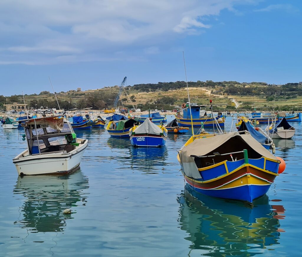 Viele blau-bunte Boote, die im Wasser vor einem niedrigen unbebauten Ufer liegen.