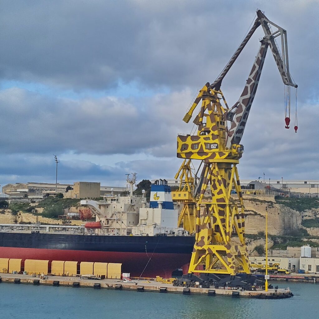 Ein sehr großes Schiff liegt in einem offenen Dock. Der Rumpf ist dunkelrot mit einem breiten schwarzen Streifen oben. Der Bugteil ist nicht auf dem Foto. Auf dem Heckteil mehrere hohe Aufbauten. Rechts davon ein hoher Kran, der unten gelb und oben grau ist, jeweils mit braunen unregelmäßig geformten Flecken, so dass er an eine Giraffe erinnert. Dahinter Felsen und einige Gebäude.