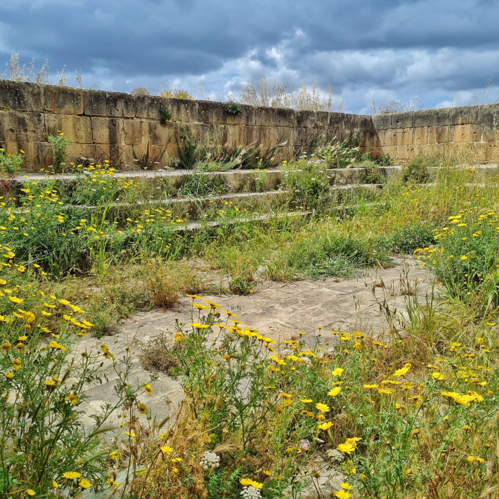 Zwei rechtwinklige niedrige Mauern. Davor drei Steinstufen. Diese und der Boden sind (bis auf eine graue steinige Fläche in der Mitte) beachsen mit Gräsern und Pflanzen mit gelben Blüten.