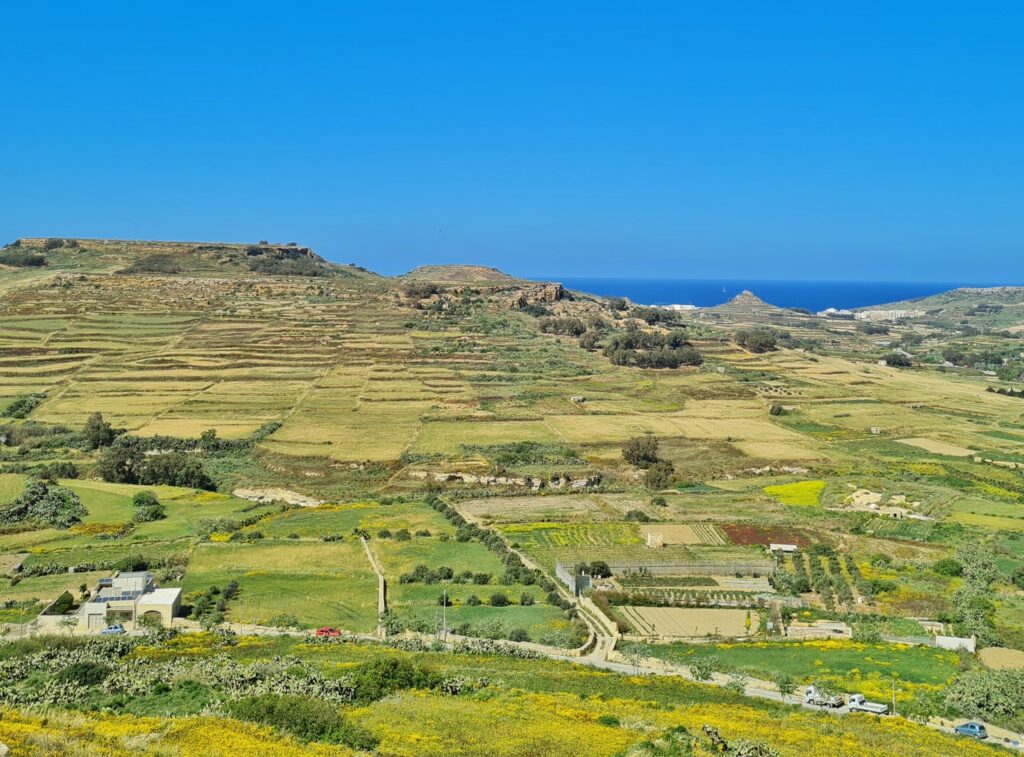 Blick von oben auf eine leicht grüne Ebene mit einzelnen Baumgruppen. Im Hintergrund blaues Meer. Auf der Fläche unten eine Straße und ein Weg, der von ihr abgeht, einzelne Gebäude und Fahrzeuge.