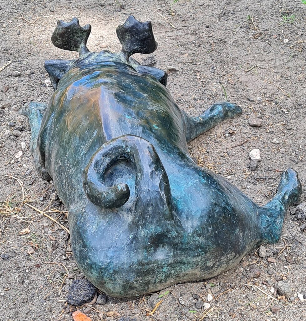 Ein flach auf dem Boden liegender Waldmops von hinten fotografiert. Dadurch sieht man deutlich den breiten Ringelschwanz.