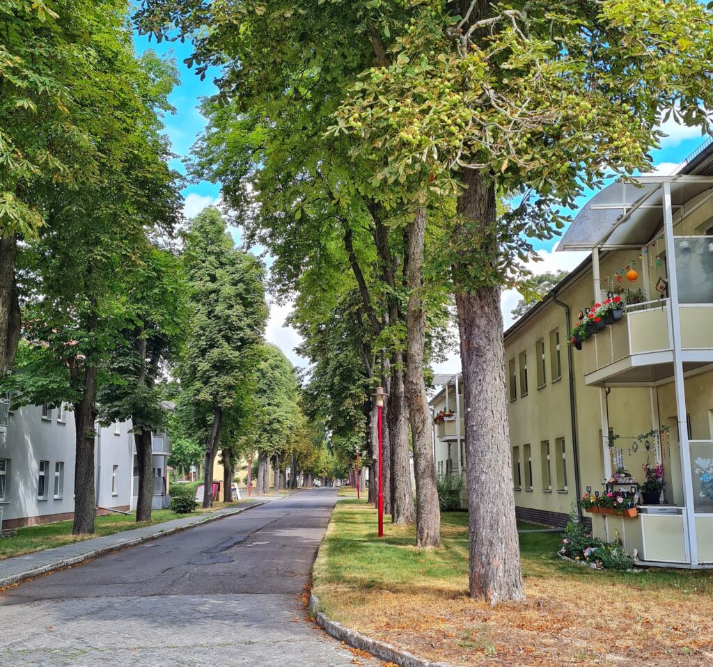Eine ruhige Straße. Auf beiden Seiten hohe grüne Bäume und helle, freundliche Wohnblocks mit zwei Geschossen und teilweise blumengeschmückten Balkonen.